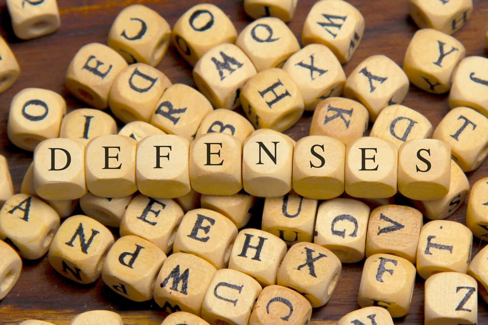 DEFENSES word written on wood block